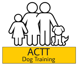 Dog Training Serving Belleville, Trenton, Quinte West, Prince Edward County