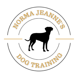 Dog Training Serving Belleville, Trenton, Quinte West, Prince Edward County